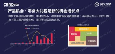 199it 中國市場互聯(lián)網數據資訊與處理服務的先鋒